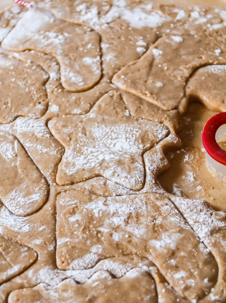 Vegan Gingerbread Cookie Dough